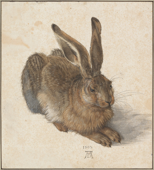 Aquarell von Albrecht Dürer