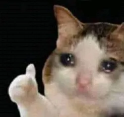 Bruh